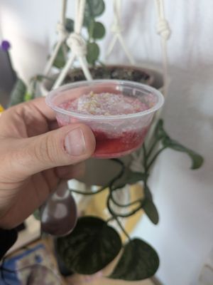 Vegan rose desert at Hummus in Barcelona