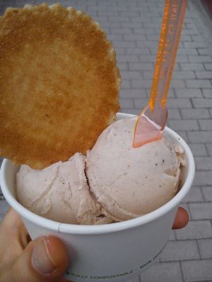 Haselnuss-Eis at Bio-Eismanufaktur in Heidelberg