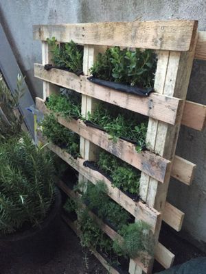 Salad bed at Trew Era Cafe in North London