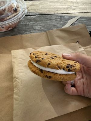   at The Hive in Santa Monica