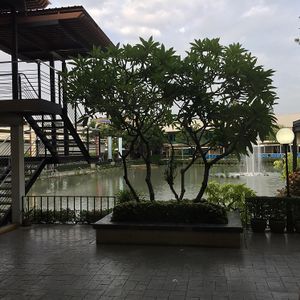 lake view iew as looking outside  at Salada Organic Kitchen in Bangkok