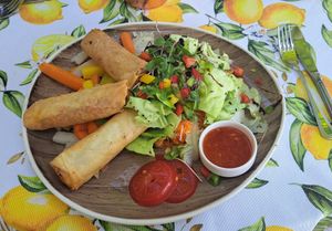 Gemüserollen Salat (vegan) at Mostviertlerwirt Ott in Seitenstetten