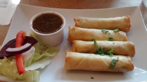Mixed vegetable rolls at Ranjit's Kitchen in Glasgow