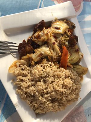 素魚香食菜 veg lamb with mixed veggies in garlic sauce  at Bodhi Kosher Vegetarian Restaurant in New York City