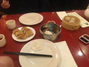 Dumplings  at Bodhi Kosher Vegetarian Restaurant in New York City