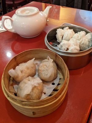 dim sums at Bodhi Kosher Vegetarian Restaurant in New York City