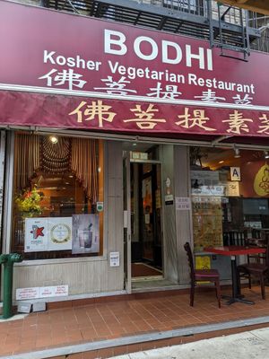 vegetarian or vegan? at Bodhi Kosher Vegetarian Restaurant in New York City