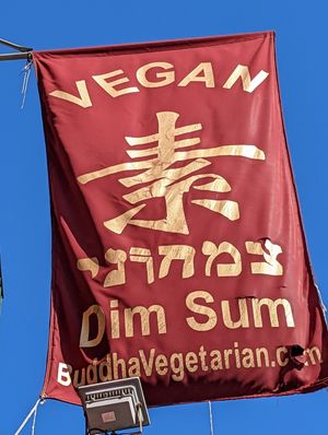 Tsimchoni (Vegan in Hebrew) at Bodhi Kosher Vegetarian Restaurant in New York City