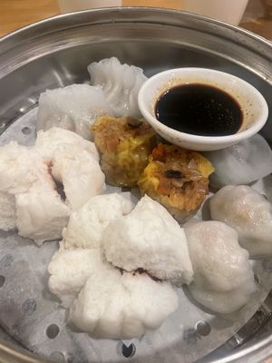 Dim sum sampler appetizer   at Bodhi Kosher Vegetarian Restaurant in New York City