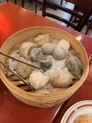 Steamed dumpling plater  at Bodhi Kosher Vegetarian Restaurant in New York City