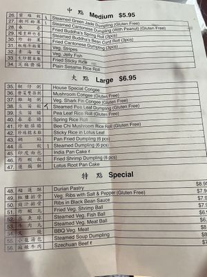 Menu 2  at Bodhi Kosher Vegetarian Restaurant in New York City