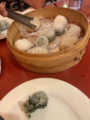 Dim sum starter  at Bodhi Kosher Vegetarian Restaurant in New York City