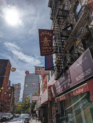  at Bodhi Kosher Vegetarian Restaurant in New York City
