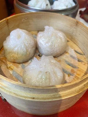 Steamed Home Dumpling GF at Bodhi Kosher Vegetarian Restaurant in New York City