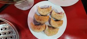 Pan fried dumpling at Bodhi Kosher Vegetarian Restaurant in New York City