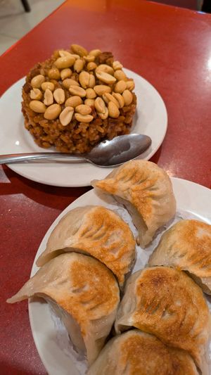 Sticky fried rice + pan fried dumplings at Bodhi Kosher Vegetarian Restaurant in New York City