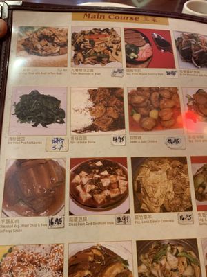 Table Menu  at Bodhi Kosher Vegetarian Restaurant in New York City