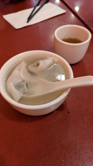 Wonton at Bodhi Kosher Vegetarian Restaurant in New York City