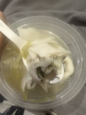 wonton soupp  at Bodhi Kosher Vegetarian Restaurant in New York City