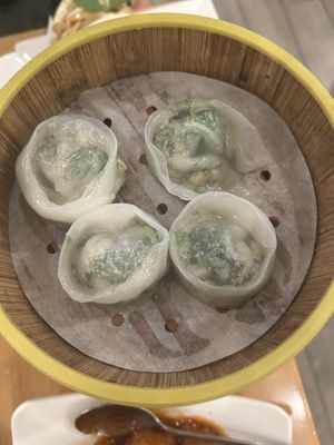 Dumplings  at Bodhi Kosher Vegetarian Restaurant in New York City