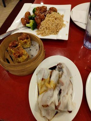 Lunch special and two kinds of dimsum. at Bodhi Kosher Vegetarian Restaurant in New York City