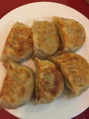  Pan fried dumplings at Bodhi Kosher Vegetarian Restaurant in New York City