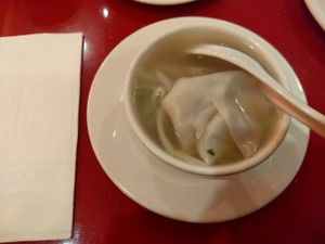 Wonton soup at Bodhi Kosher Vegetarian Restaurant in New York City
