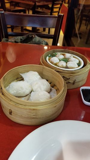 Vegan shrimp dumplings and vegan fish balls at Bodhi Kosher Vegetarian Restaurant in New York City