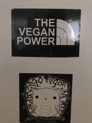 Stickers at Alaska Bar in Berlin