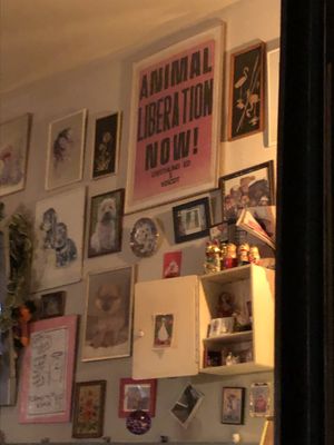   at Alaska Bar in Berlin