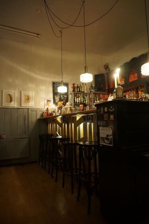 Counter at Alaska Bar in Berlin