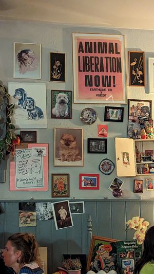  at Alaska Bar in Berlin