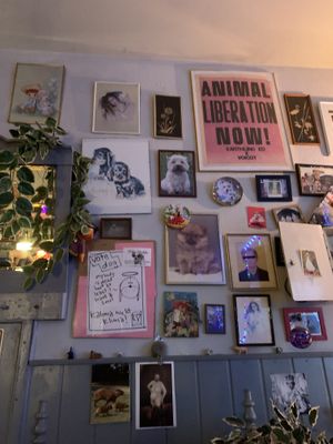   at Alaska Bar in Berlin