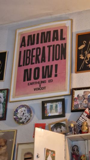  at Alaska Bar in Berlin