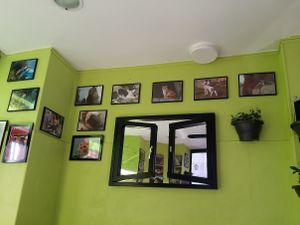 Interior at Veg'Art in Paris