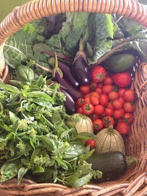 Pickings from the garden, getting ready for lunch prep at The Conscious Caravan - Food Van in Castlemaine