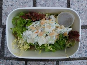 Waldorf Salad 華多夫沙律 at One Vegan Shop in New Territories