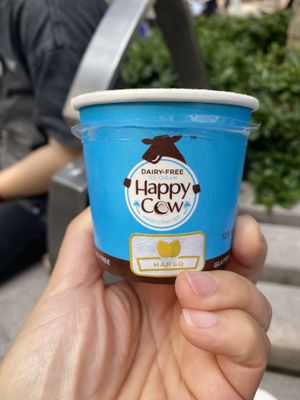 Ice  at One Vegan Shop in New Territories