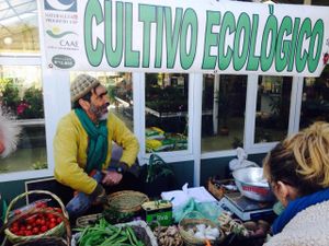 organic fruit and vegetables at Mercado Ecologico Viveros El Algarrobo in Vinuela
