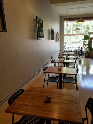 Bright, open, clean dining space! at Pulp + Sprout Juice Bar and Vegan Cafe in Asheville
