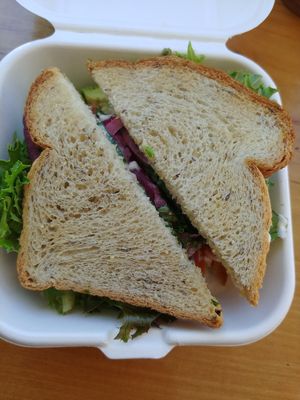 $12 ATL: Delicious 😋 This was our favorite, we got GF bread and it was really nice at Pulp + Sprout Juice Bar and Vegan Cafe in Asheville