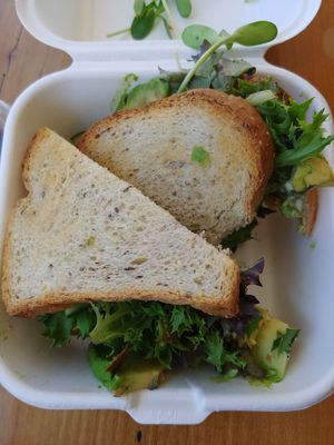 $10 Mean Green Sandwich 🥪 : This was good but a little dry at Pulp + Sprout Juice Bar and Vegan Cafe in Asheville