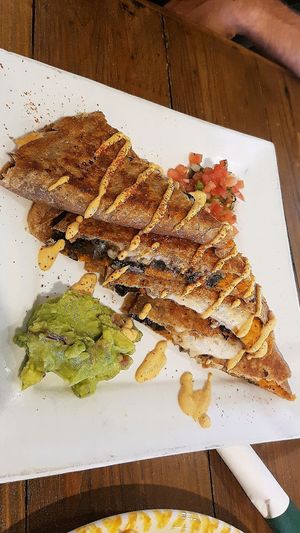 amaaazing at VegeNation in Las Vegas