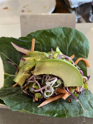 Pamela Anderson Raw taco  at VegeNation in Las Vegas