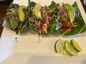   at VegeNation in Las Vegas