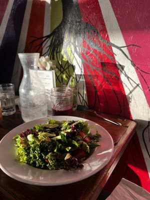 Starter salads   at VegeNation in Las Vegas