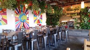 VegeNation  Jan 2017 at VegeNation in Las Vegas