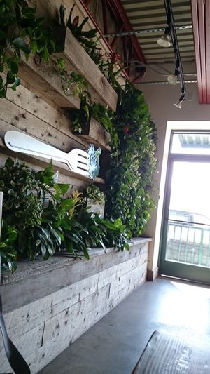 Inside at VegeNation in Las Vegas