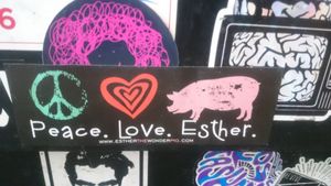 entry counter stickers at VegeNation in Las Vegas