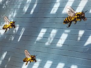 Backyard deco at VegeNation in Las Vegas